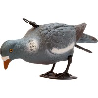 Подсадной голубь Birdland кормящийся